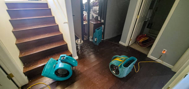Best Ceiling water damage repair  in Charlotte Park, FL