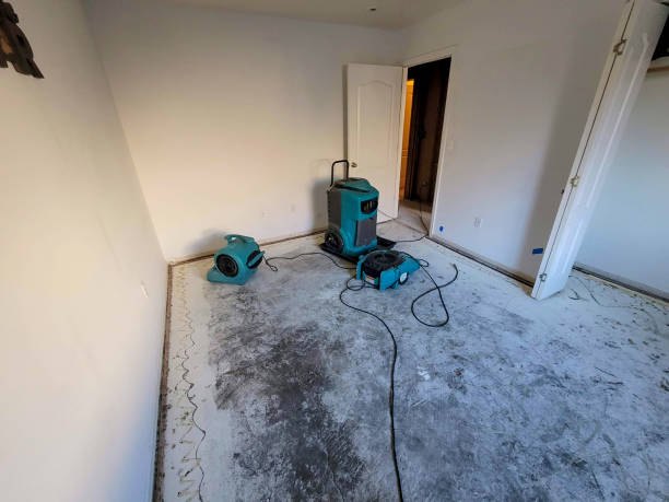 Best Mold removal after water damage  in Charlotte Park, FL