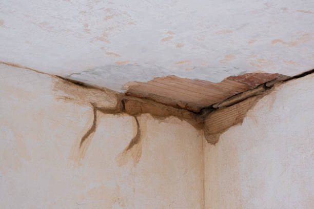 Best Commercial water damage restoration  in Charlotte Park, FL