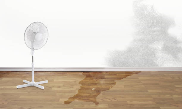 Best 24-hour water damage restoration  in Charlotte Park, FL
