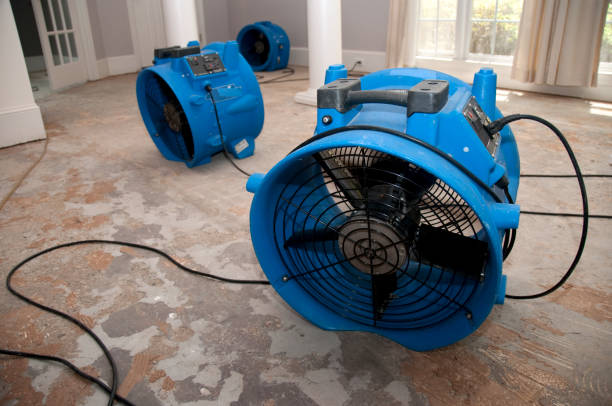 Best Water damage contractors near me  in Charlotte Park, FL