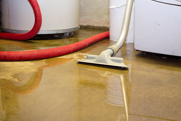 Best Water damage restoration company  in Charlotte Park, FL