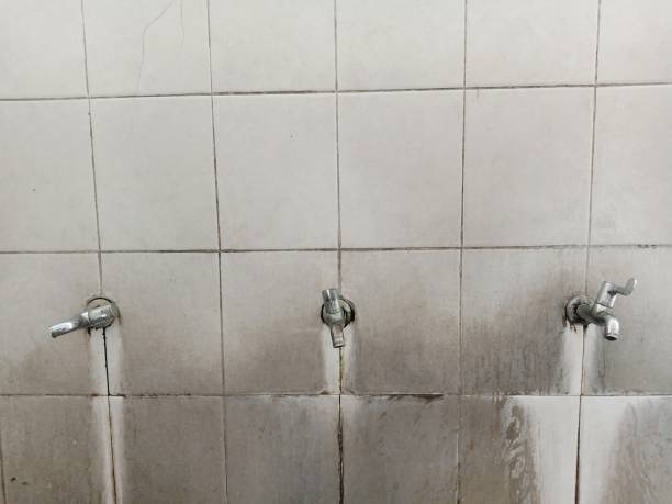 Best Water damage contractors near me  in Charlotte Park, FL