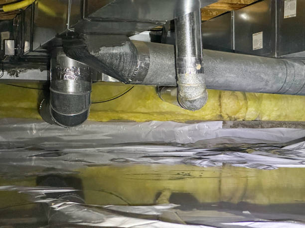 Best Flood damage cleanup  in Charlotte Park, FL
