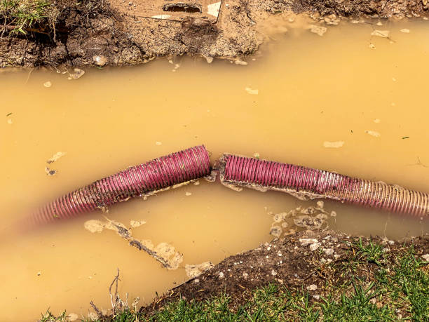 Best Professional water damage repair  in Charlotte Park, FL