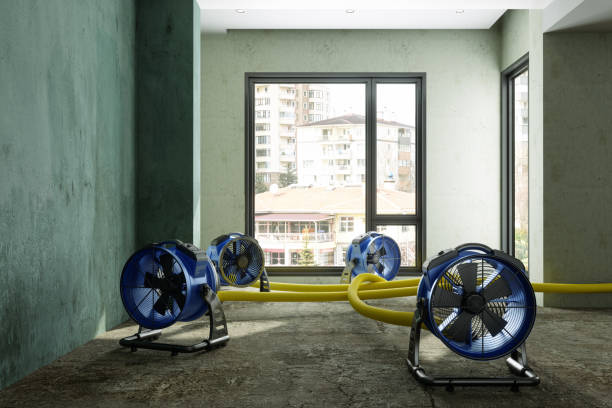Best Professional water damage repair  in Charlotte Park, FL