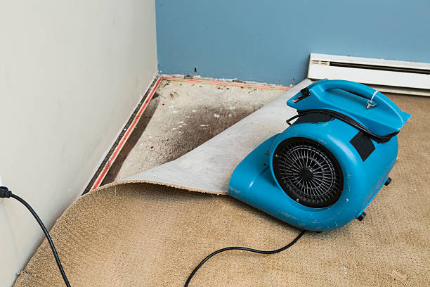 Best Residential water damage restoration  in Charlotte Park, FL